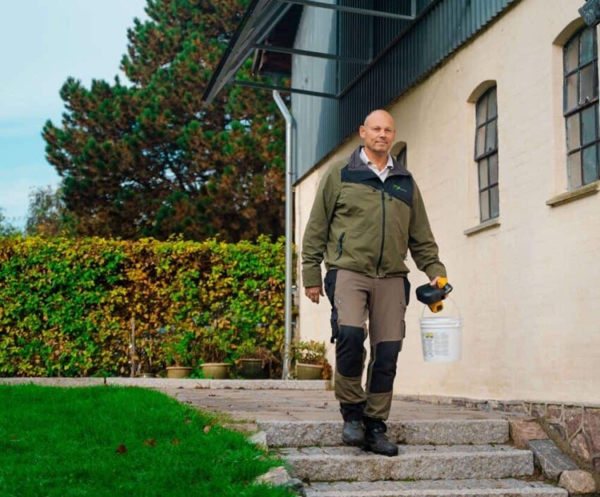 Skægkræ i hjemmet: Sådan slipper du effektivt af med dem