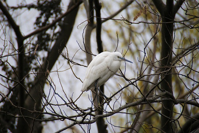 Sort fredag, grøn samvittighed: Gode råd til øko-indkøb