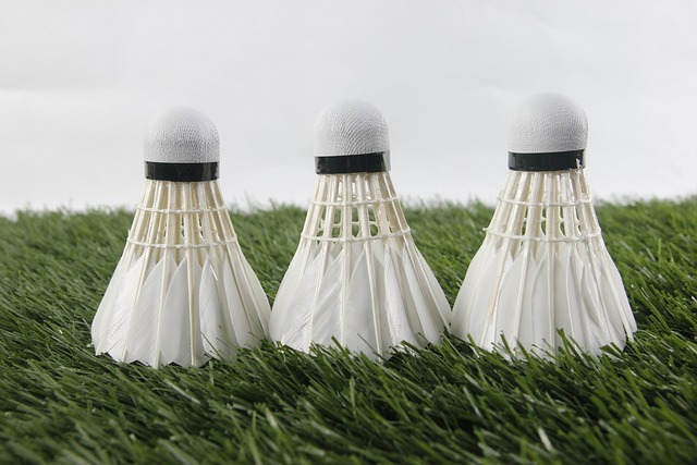Ketchersportens comeback: Hvorfor flere danskere vælger badminton